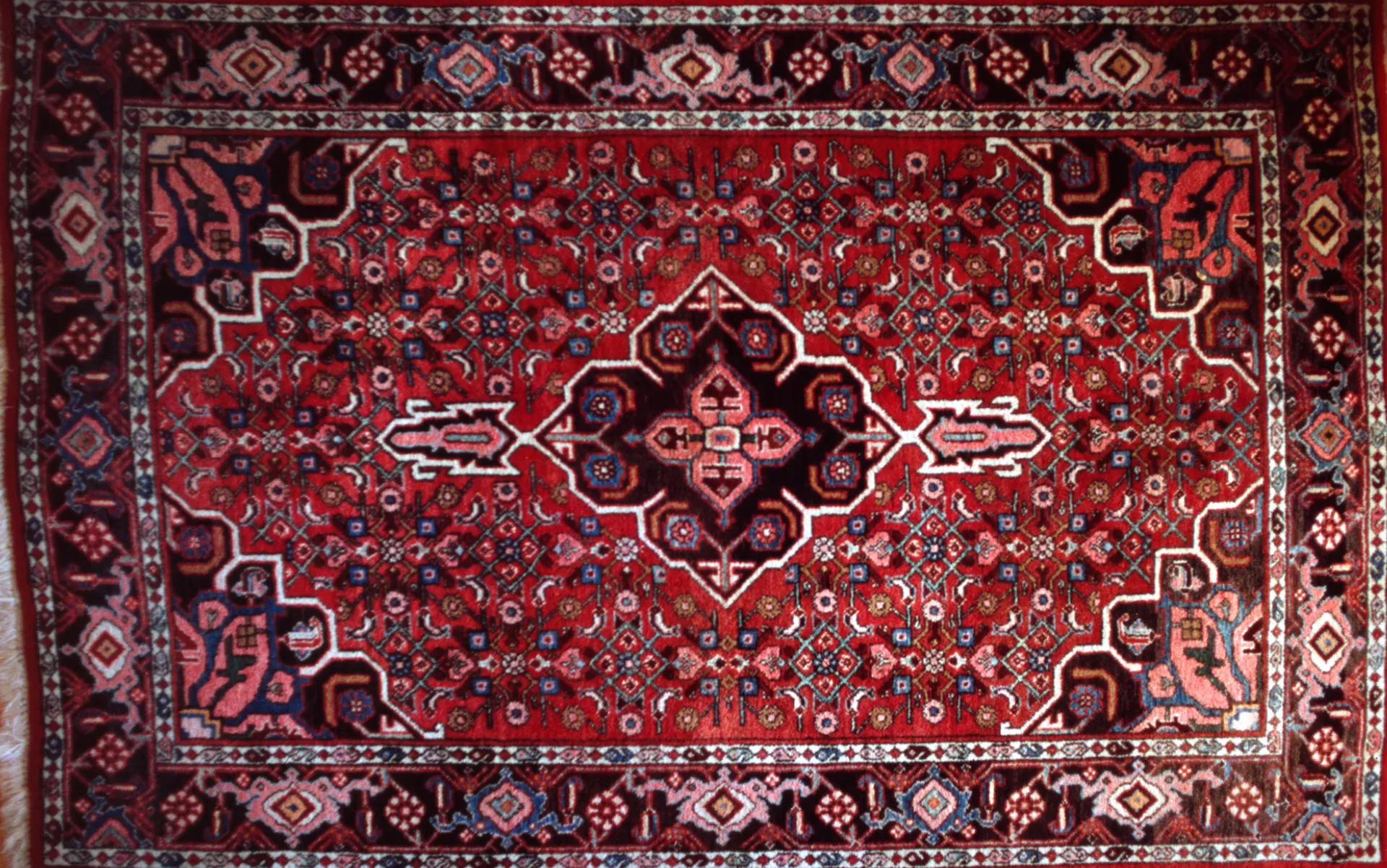 Bijar rug, Kurdish carpet from Iranian Kurdistan